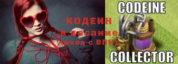 прущие грибы Армянск