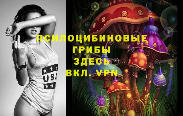 дживик Аркадак