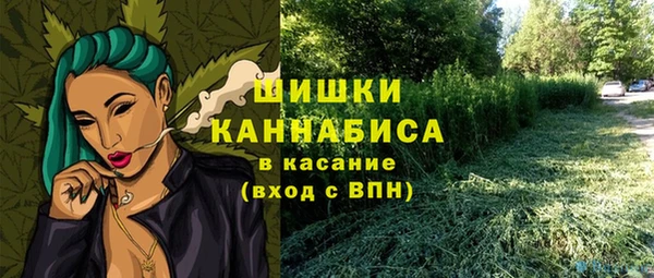 дживик Аркадак