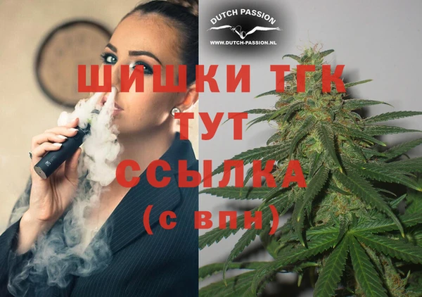 хмурый Арсеньев