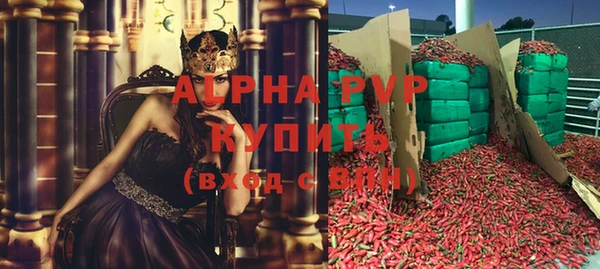 хмурый Арсеньев