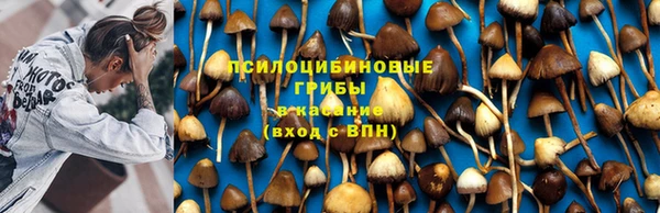 дживик Аркадак