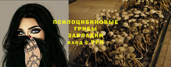 дживик Аркадак