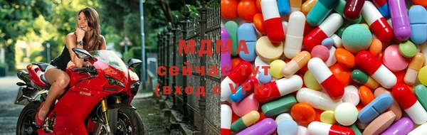 хмурый Арсеньев