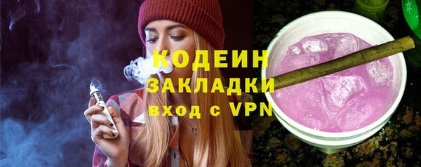прущие грибы Армянск