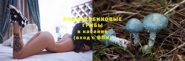 дживик Аркадак