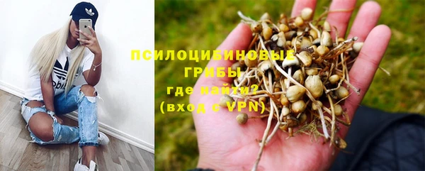дживик Аркадак