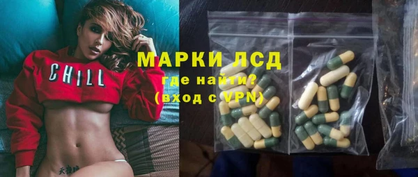 хмурый Арсеньев